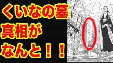 ONE PIECE】革命軍の剣士だった？くいなの正体考察まとめ！【ワンピース】 