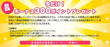 無料会員登録で始める！アニメとゲームの世界へようこそ！(特典、注意点、年齢制限？)会員登録のススメ：特典満載！安全に楽しむためのガイド