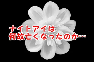 ヒロアカナイトアイの正体考察！個性や死亡の原因・無能説も解説 